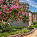 The Affordable Living and Education in Capitol Heights, MD